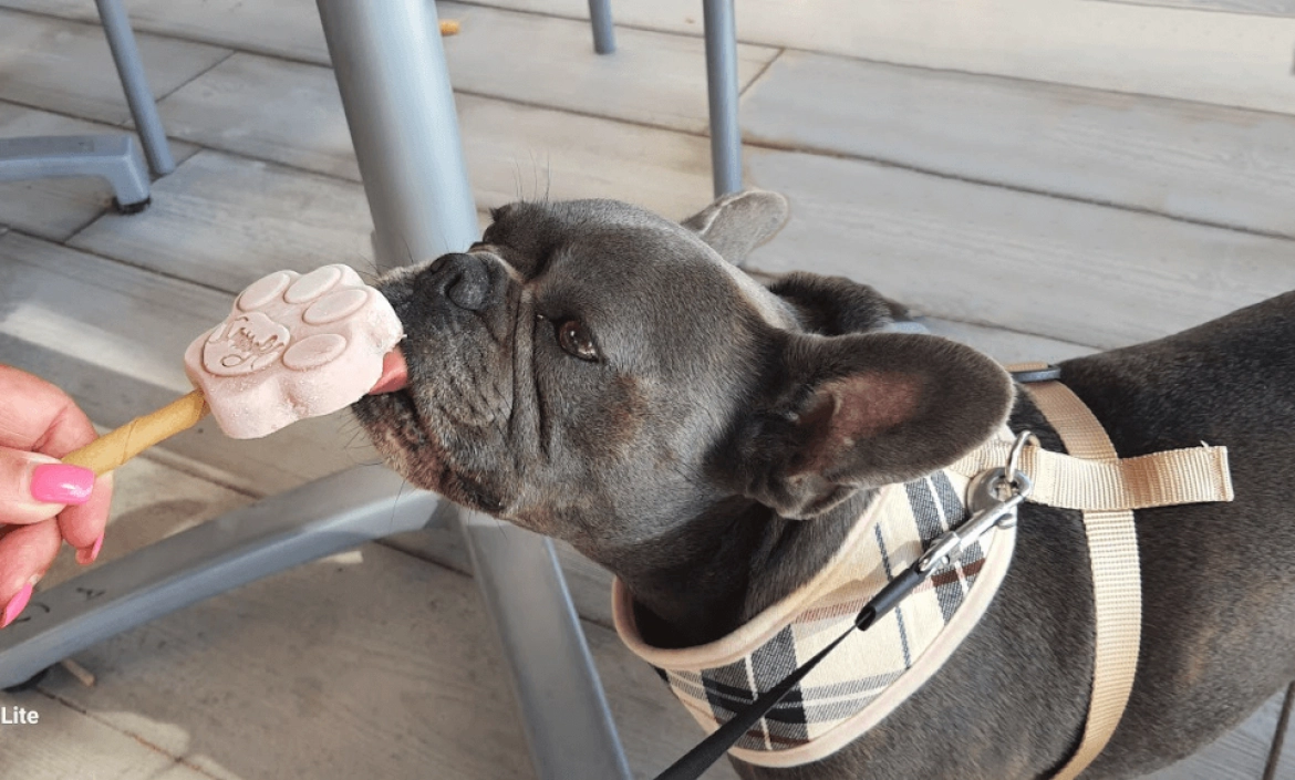 Camping L'Escale Occitane image 1