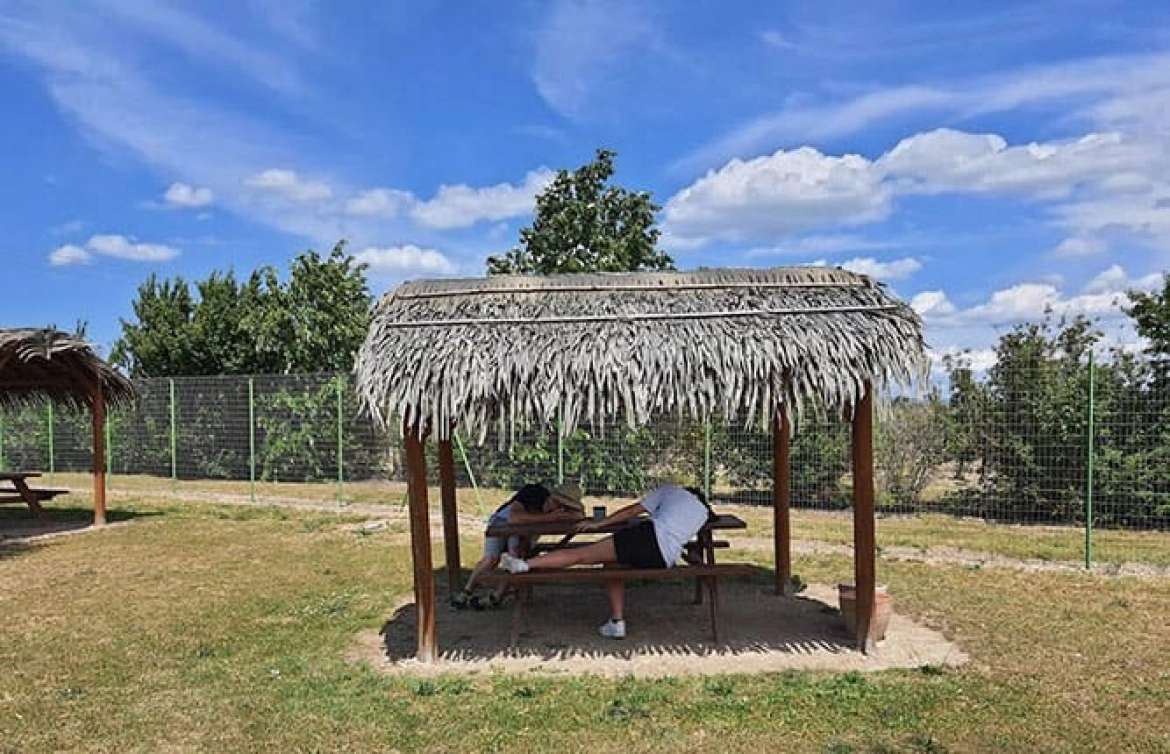 Camping L'Escale Occitane image 5