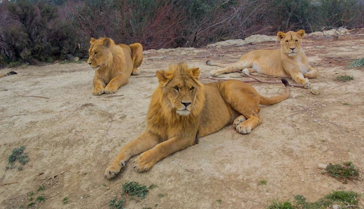 Camping La Grange Neuve image 2