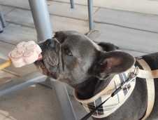 Camping L'Escale Occitane image 1