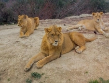 Camping La Grange Neuve image 2