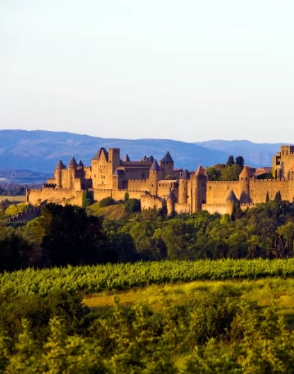 Ins&eacute;rer un text alternatif