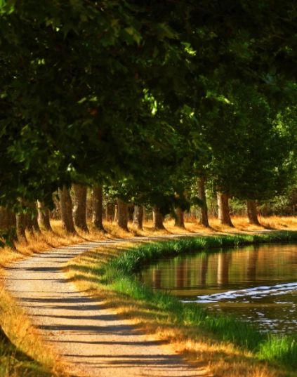 Ins&eacute;rer un text alternatif