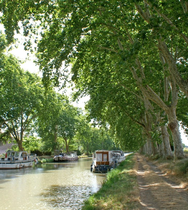 Ins&eacute;rer un text alternatif